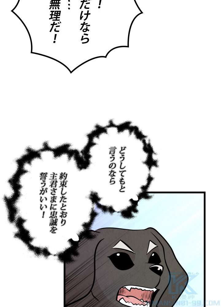 P58