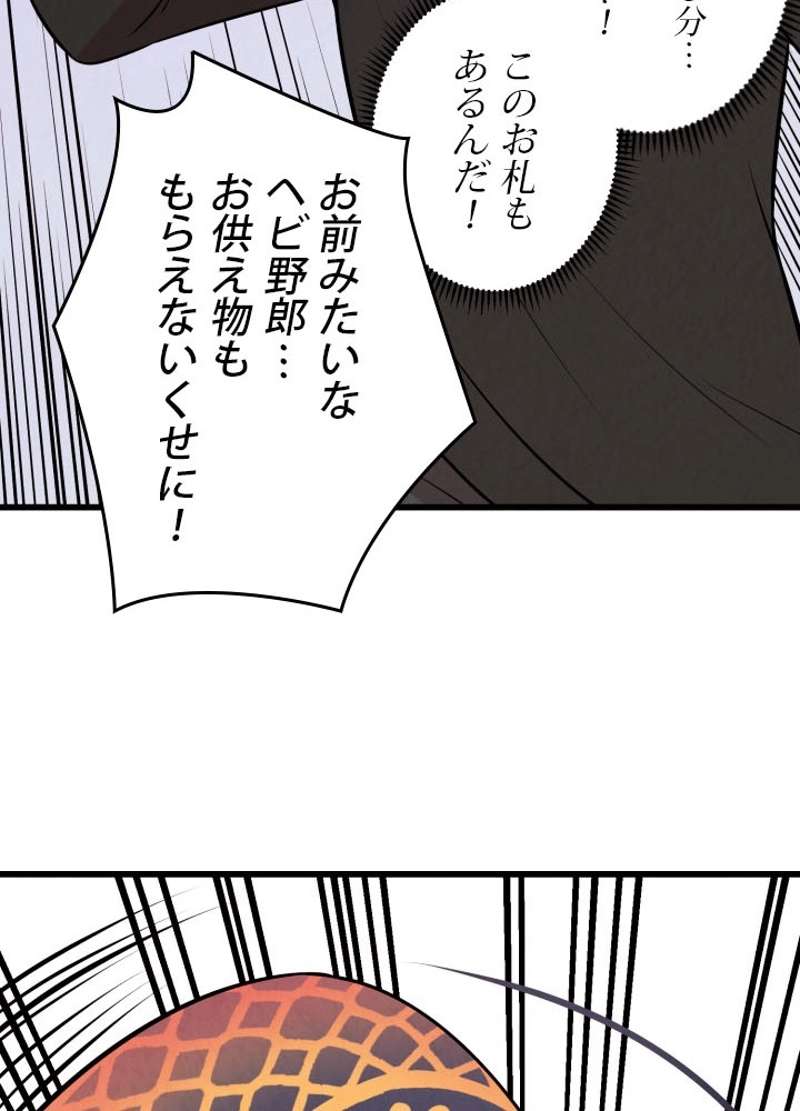 P61