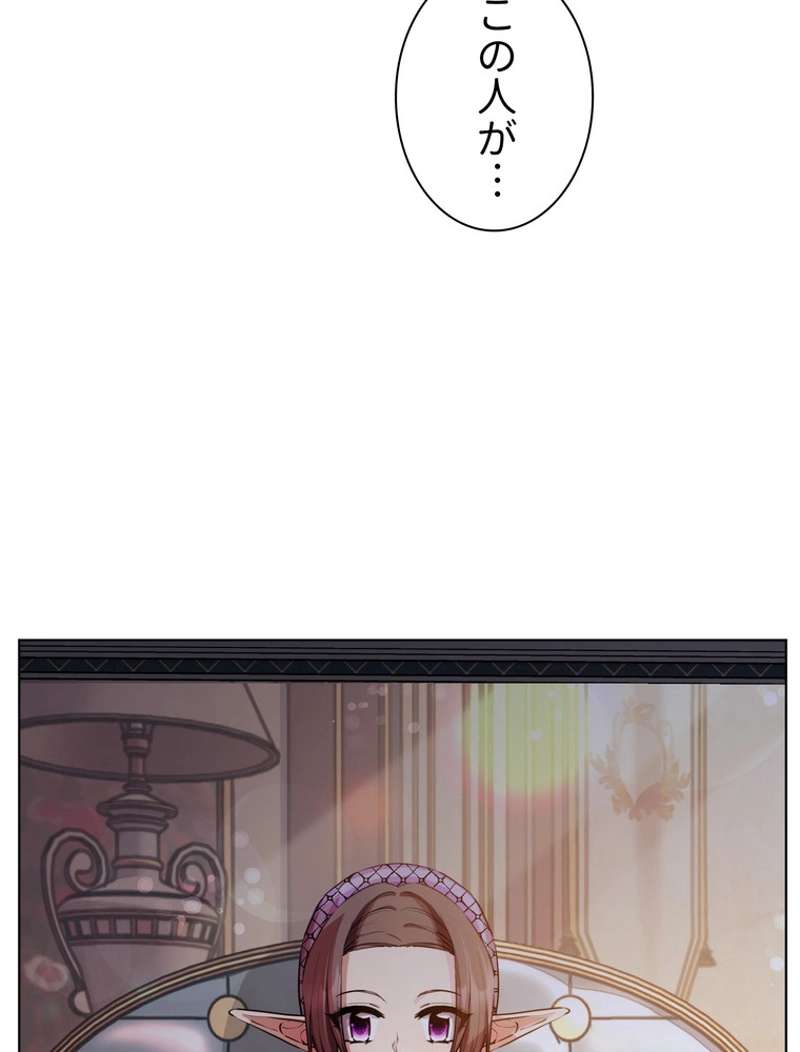 P61