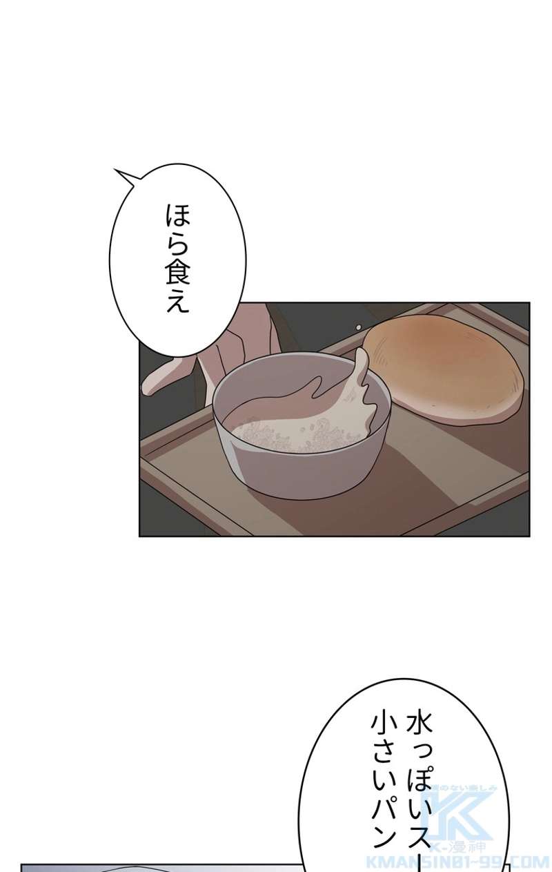 P53