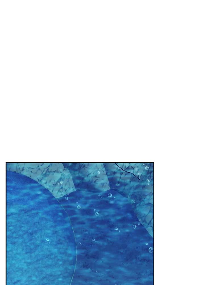P78