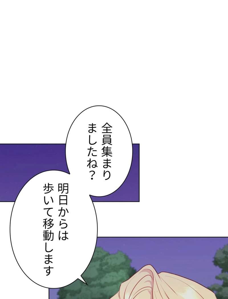 P66