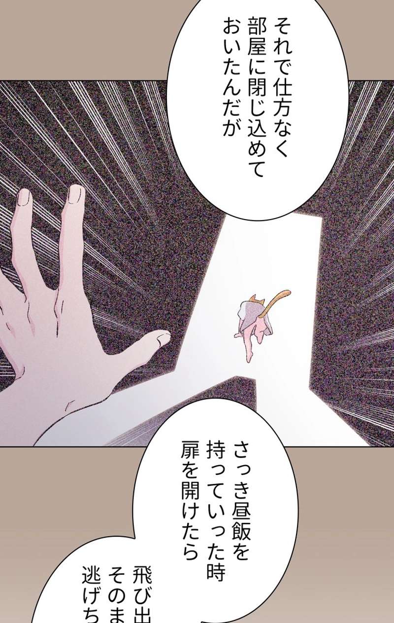 P52