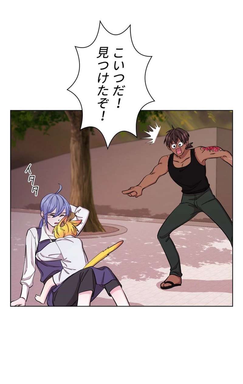P66