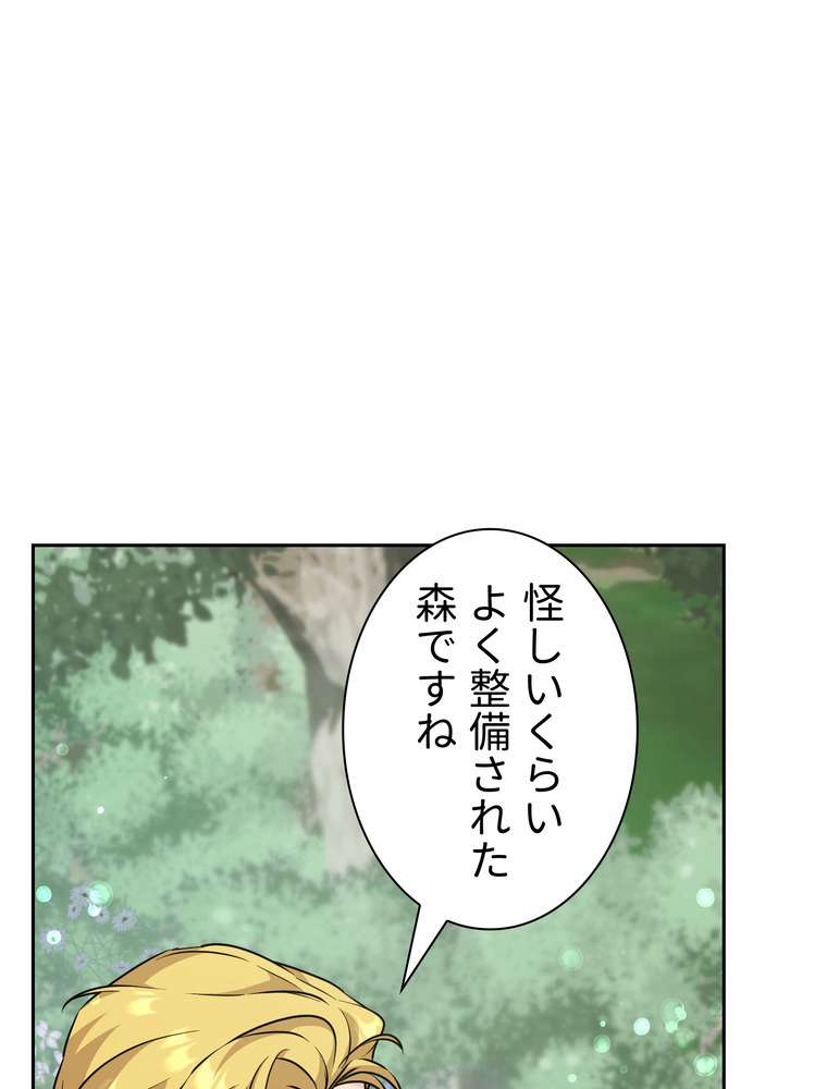 P63