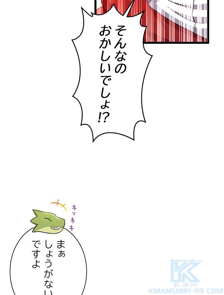 P58