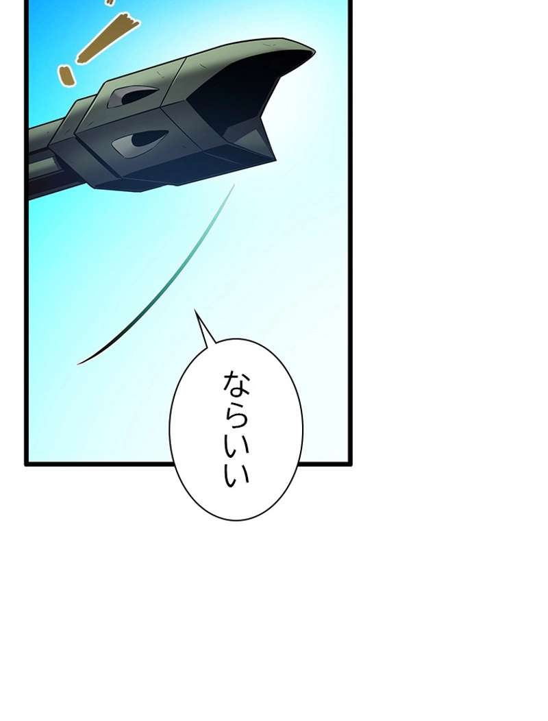 P113
