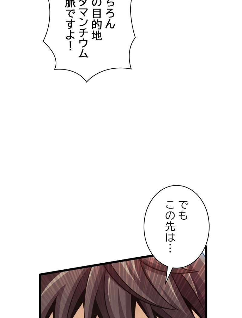 P113