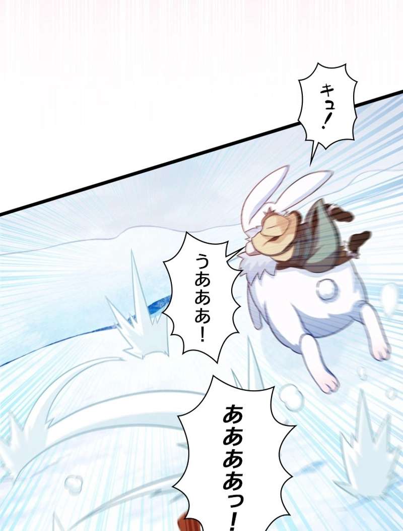 P66