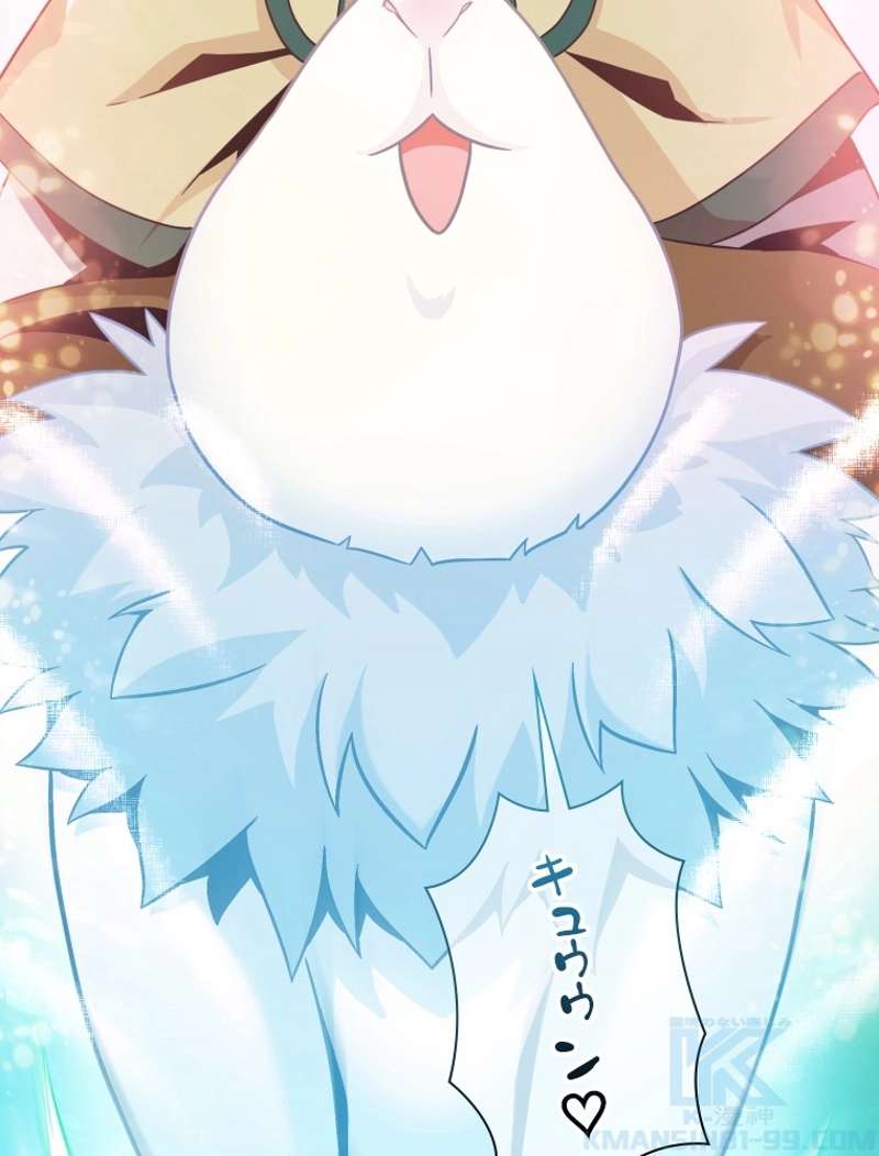 P91