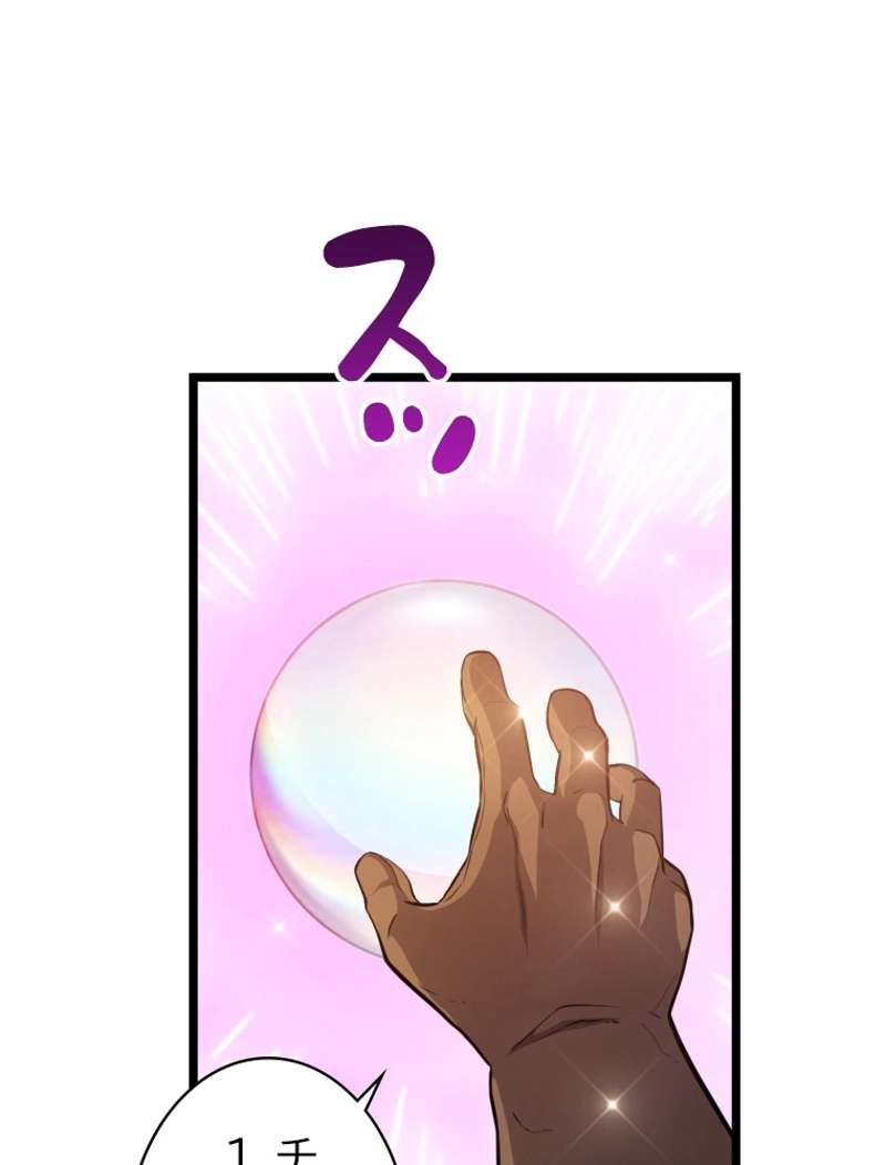 P66