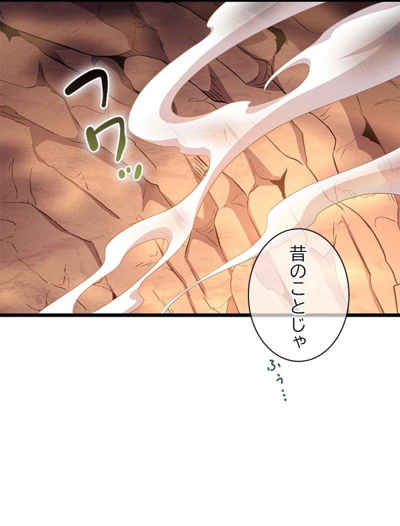 P63