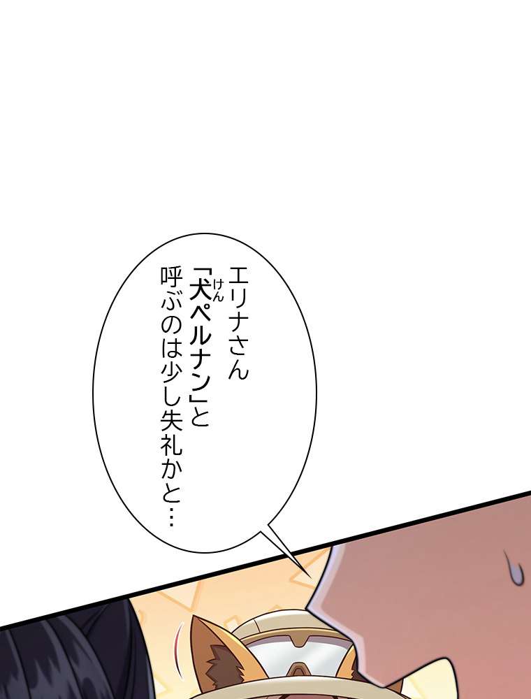 P113