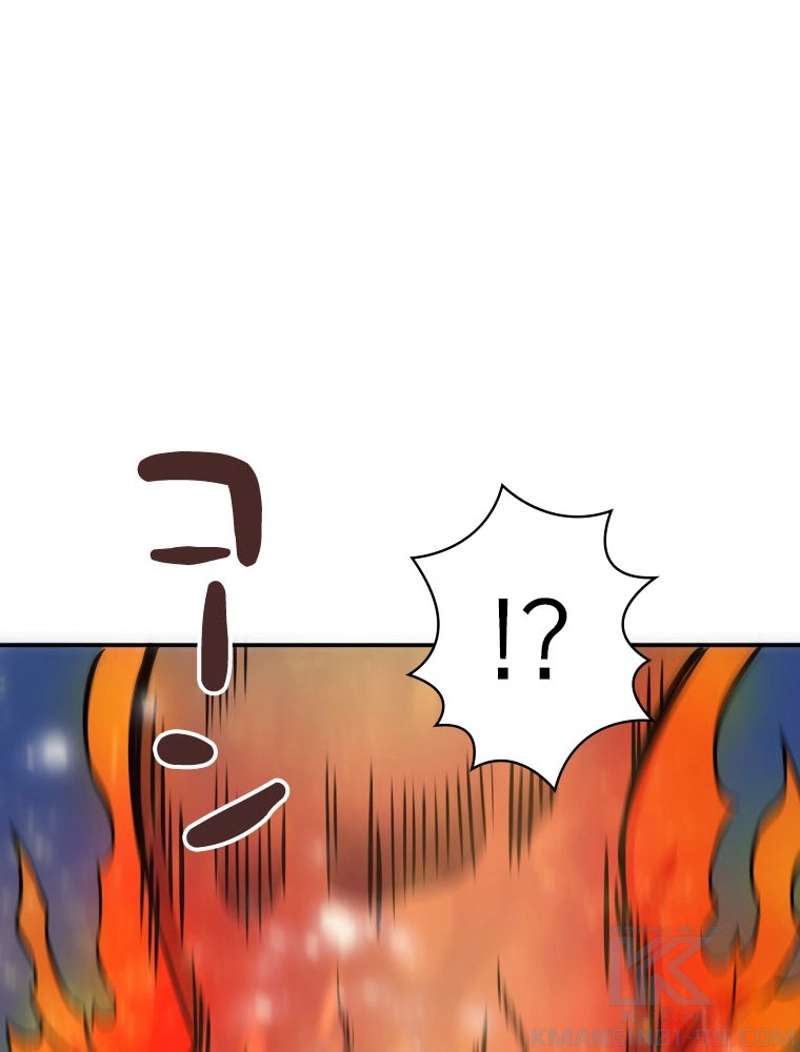 P113