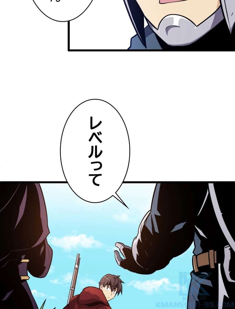P113
