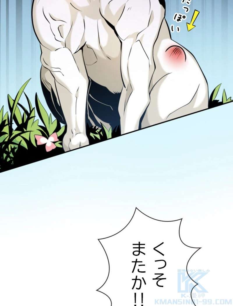P53