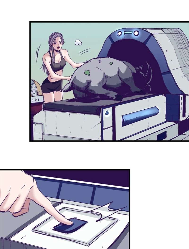 P14
