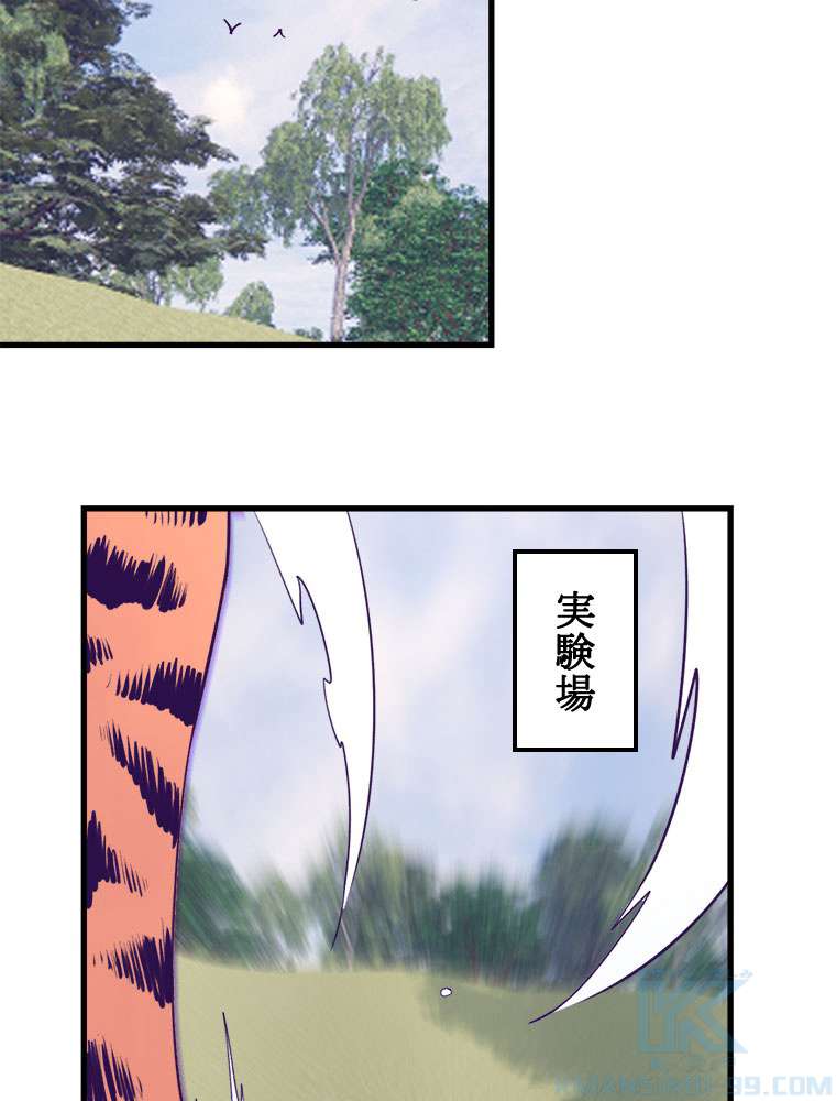 P43