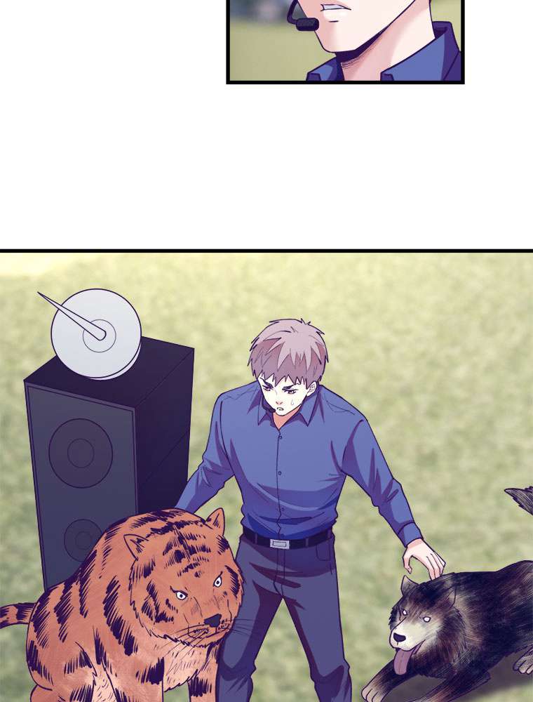 P53