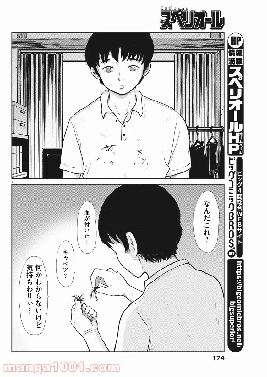 P16