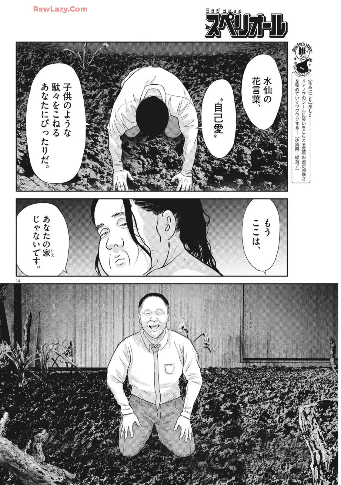 P14
