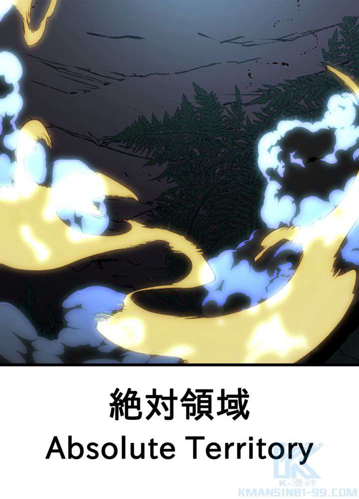 P97