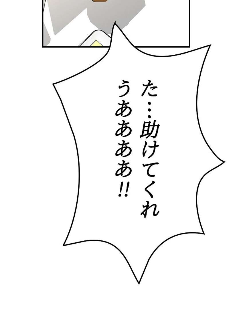 P113