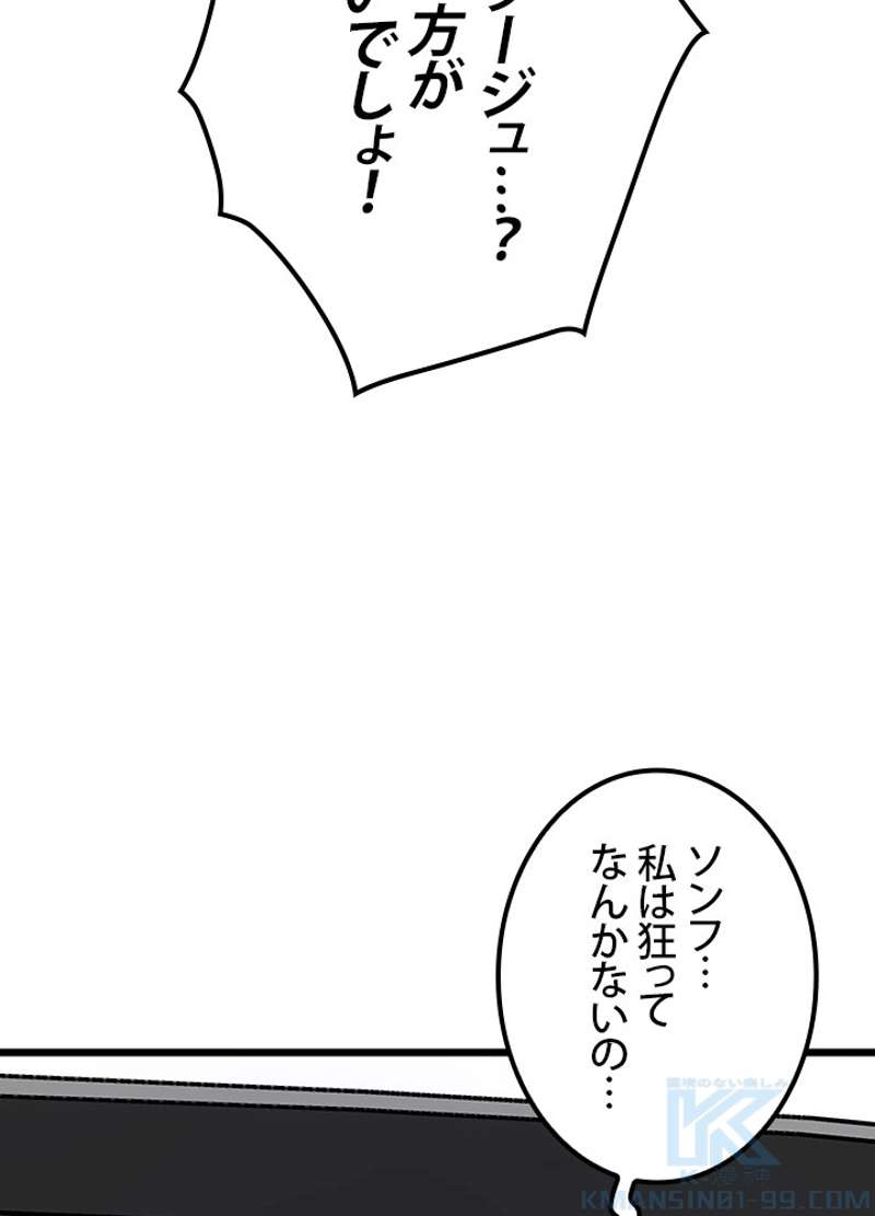 P133
