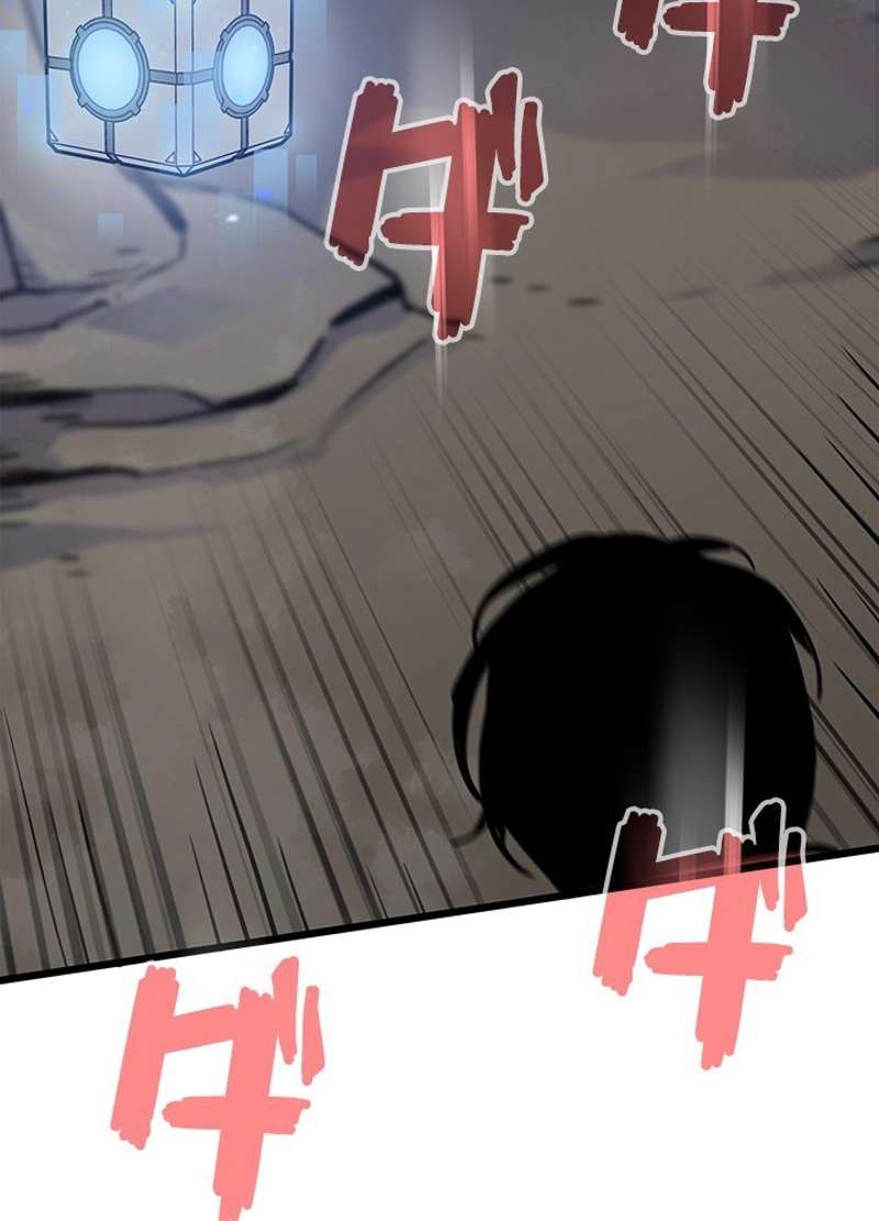 P66