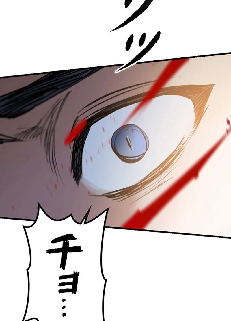 P113