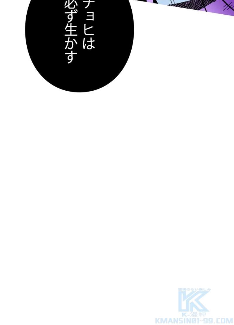P61
