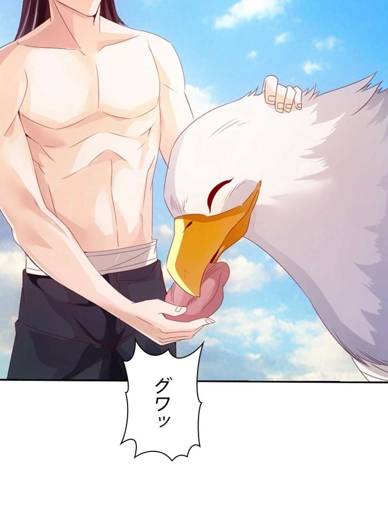 P41