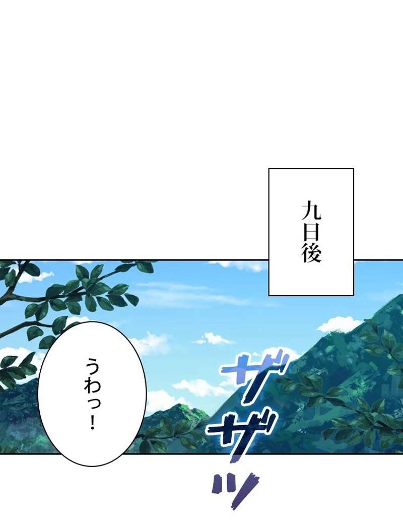 P48