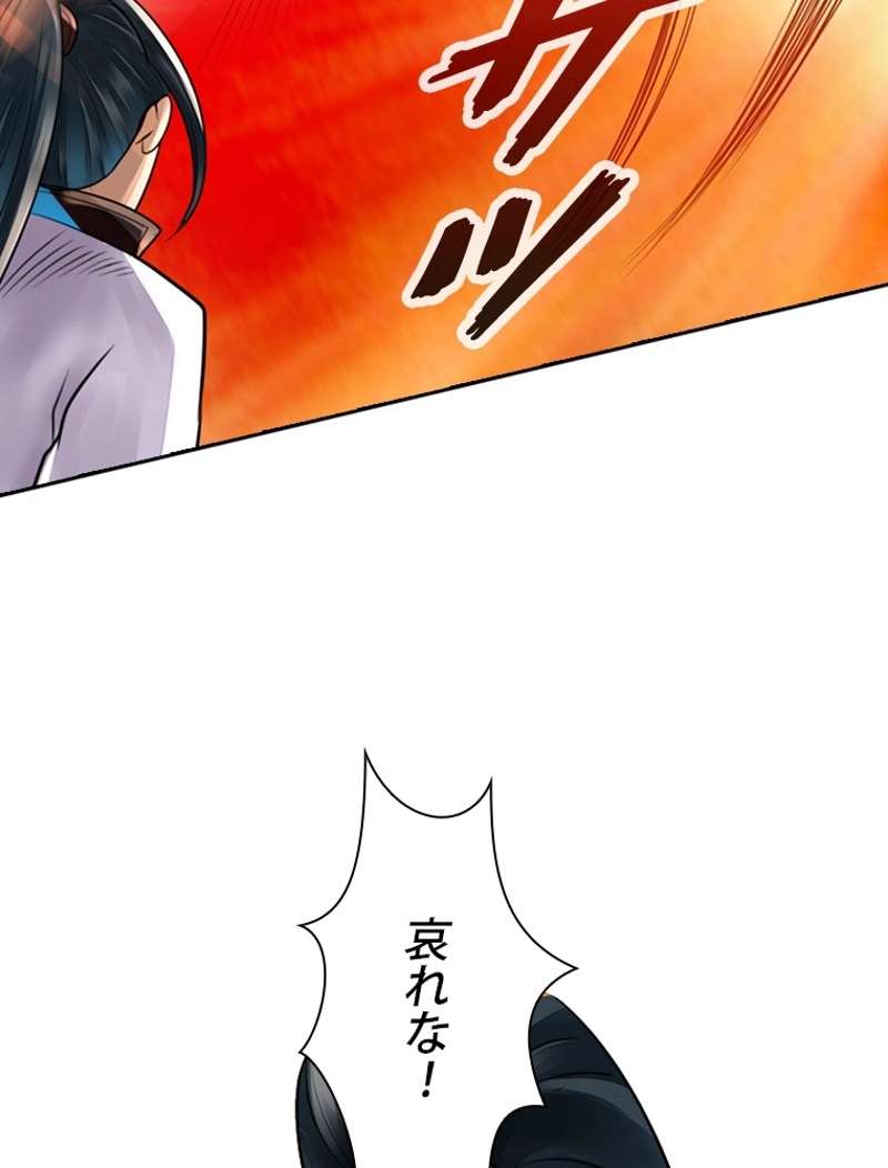 P63