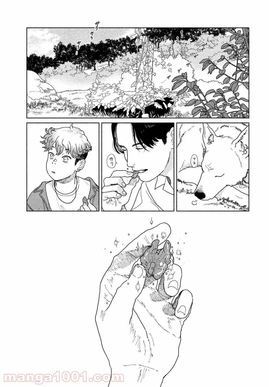 P27
