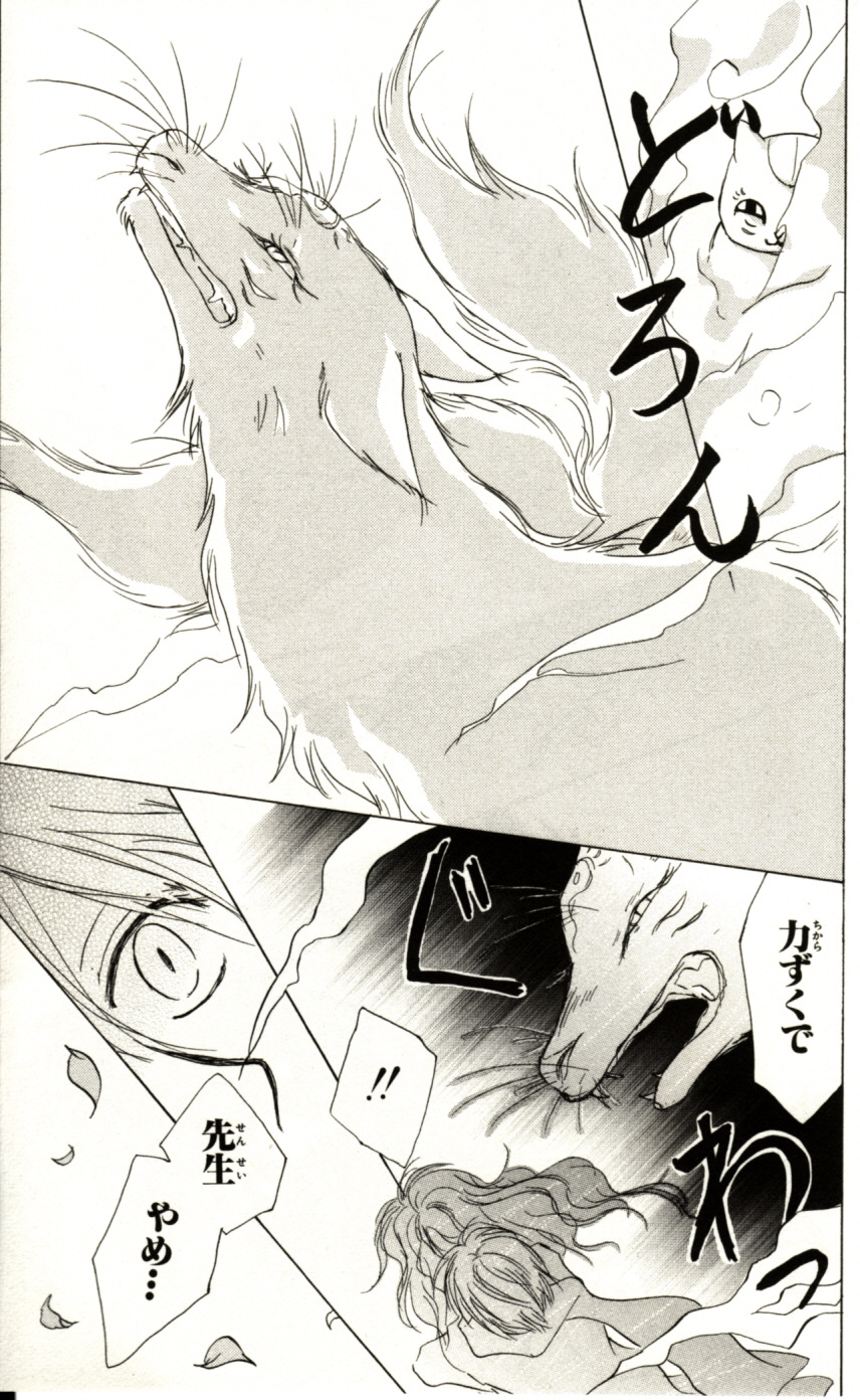 P43