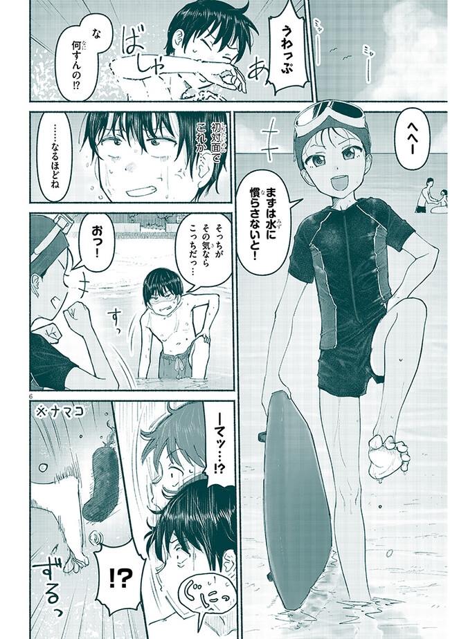 P6