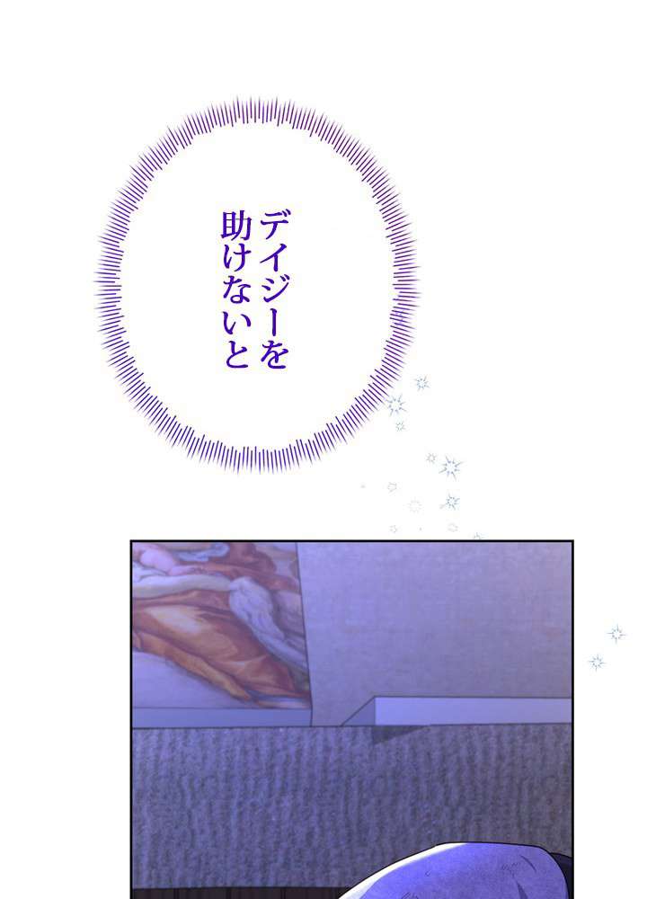 P81