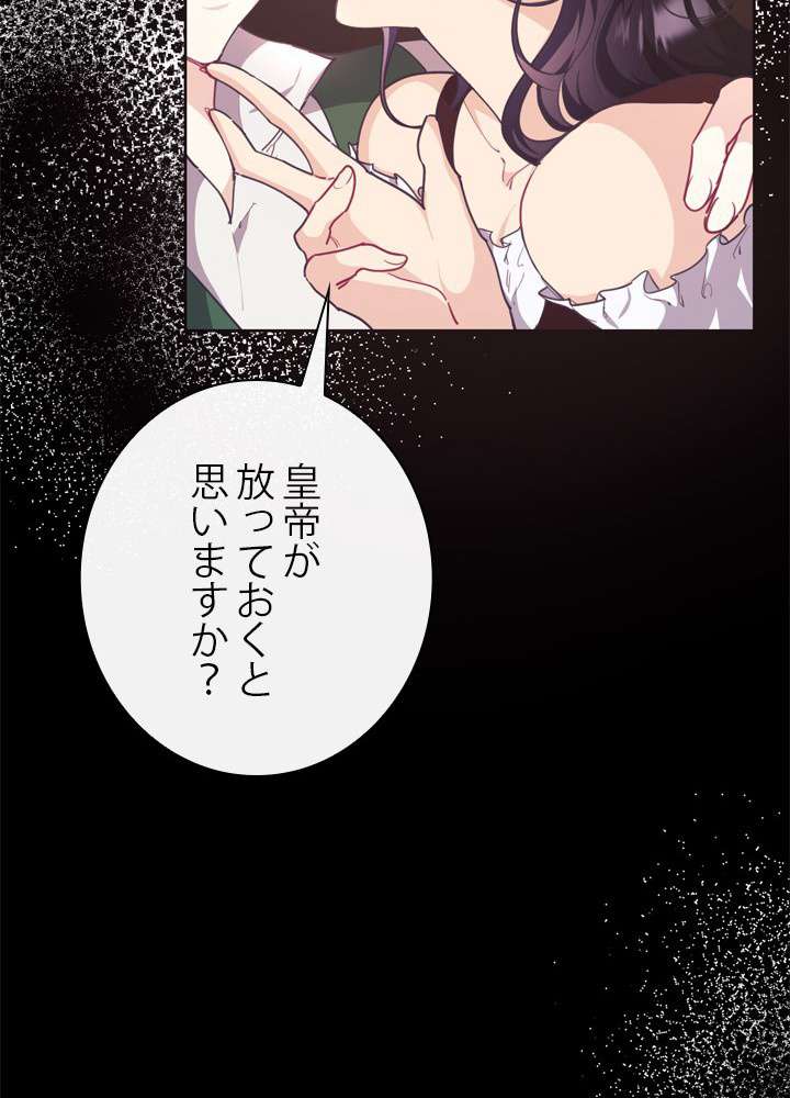 P53