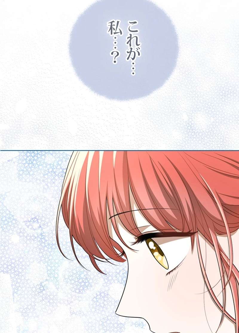 P58