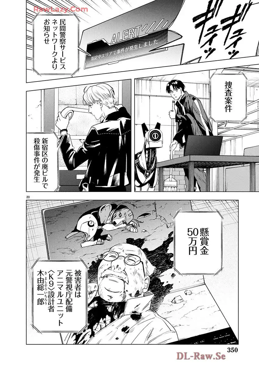 P20