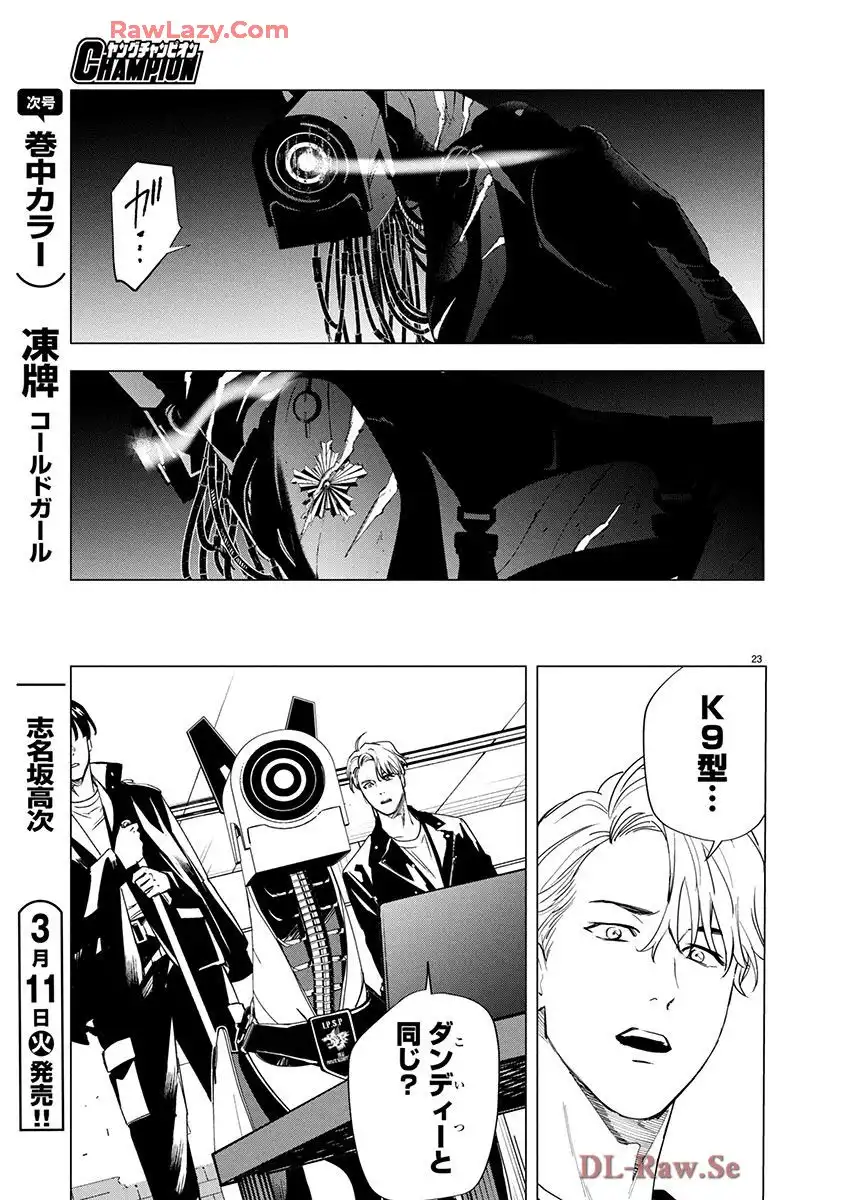 P23