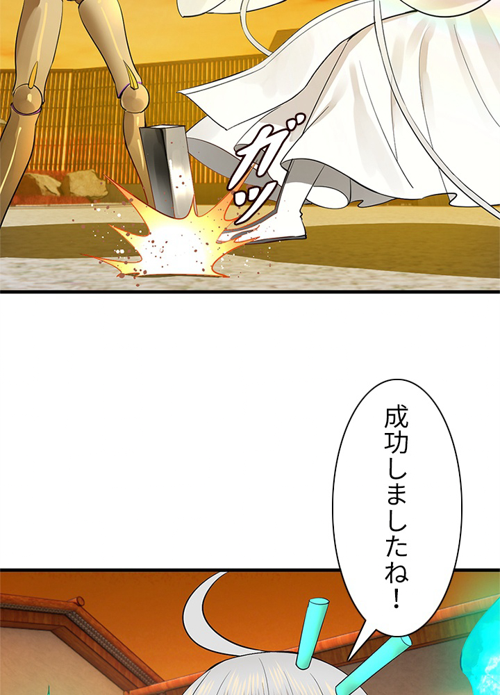 P66