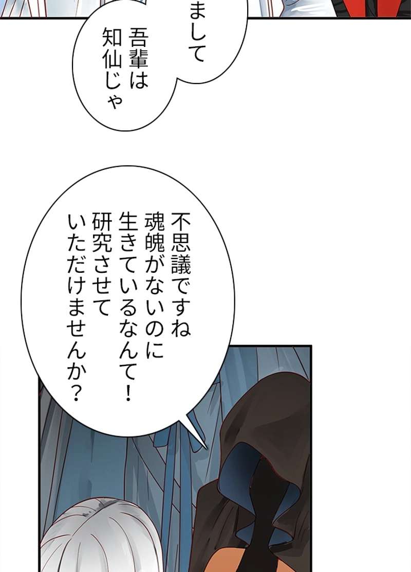 P53