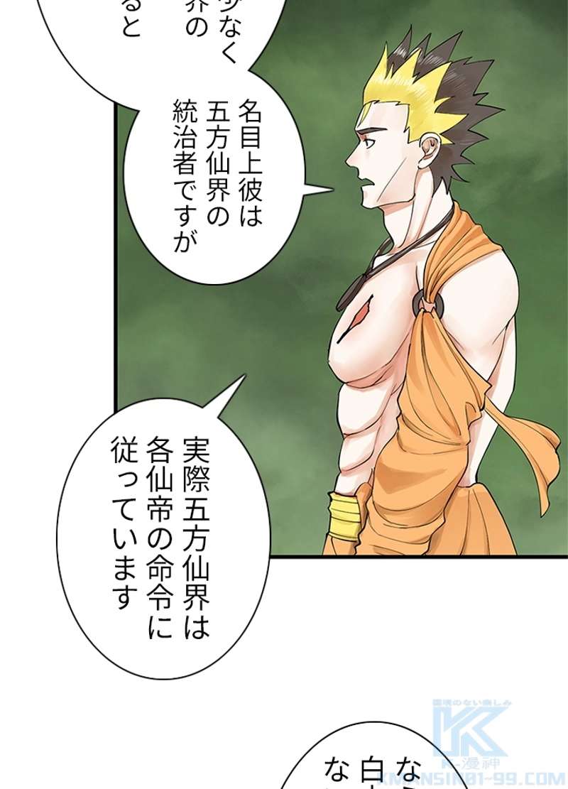 P58
