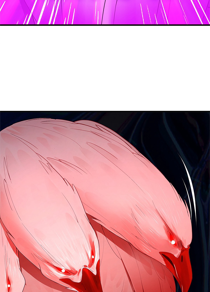 P66