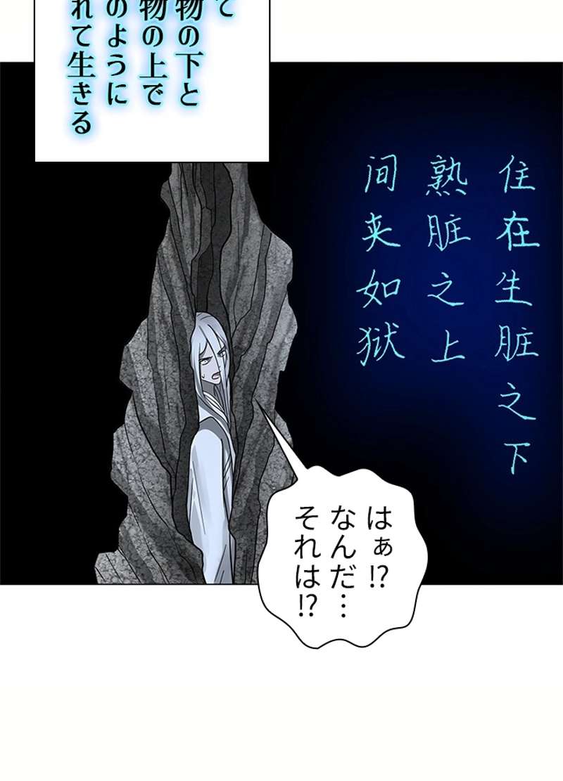 P53