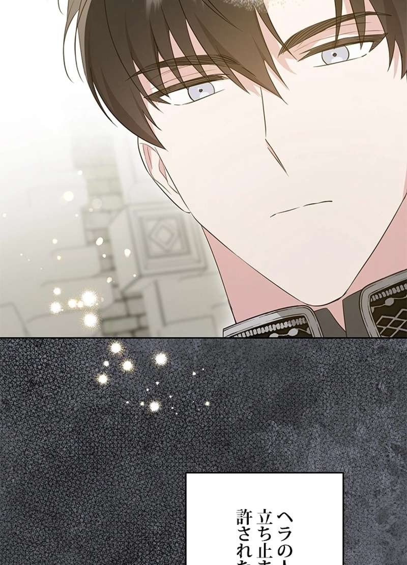 P81
