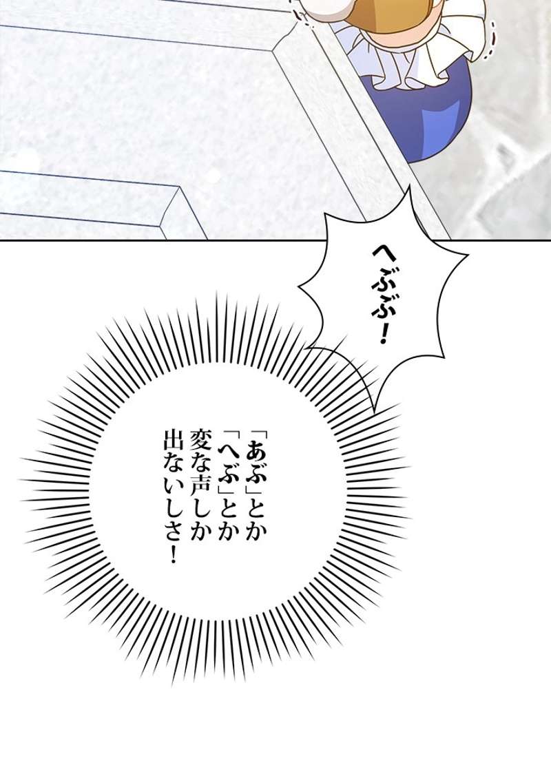 P61