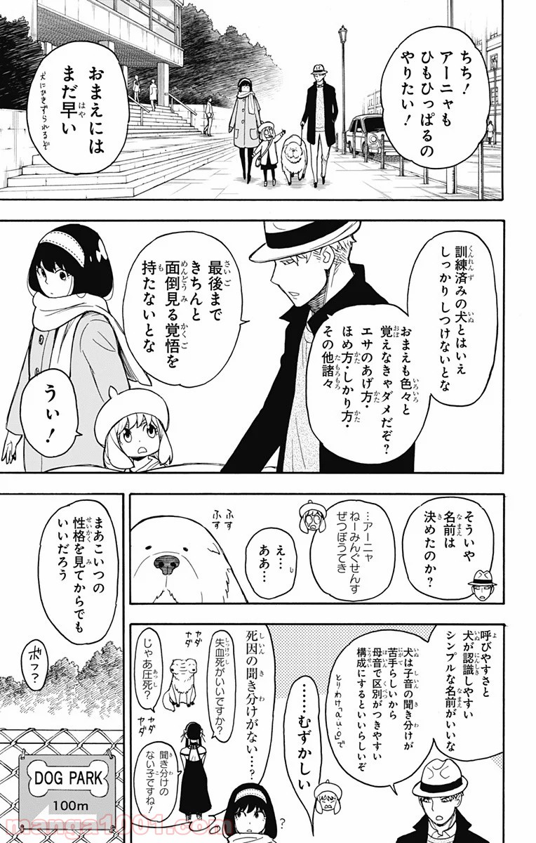 P11